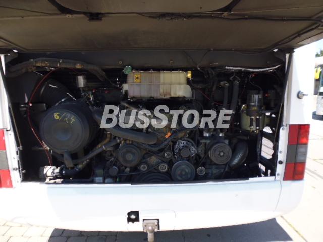 MAN - R08 Lion's Coach - GWC2500012450