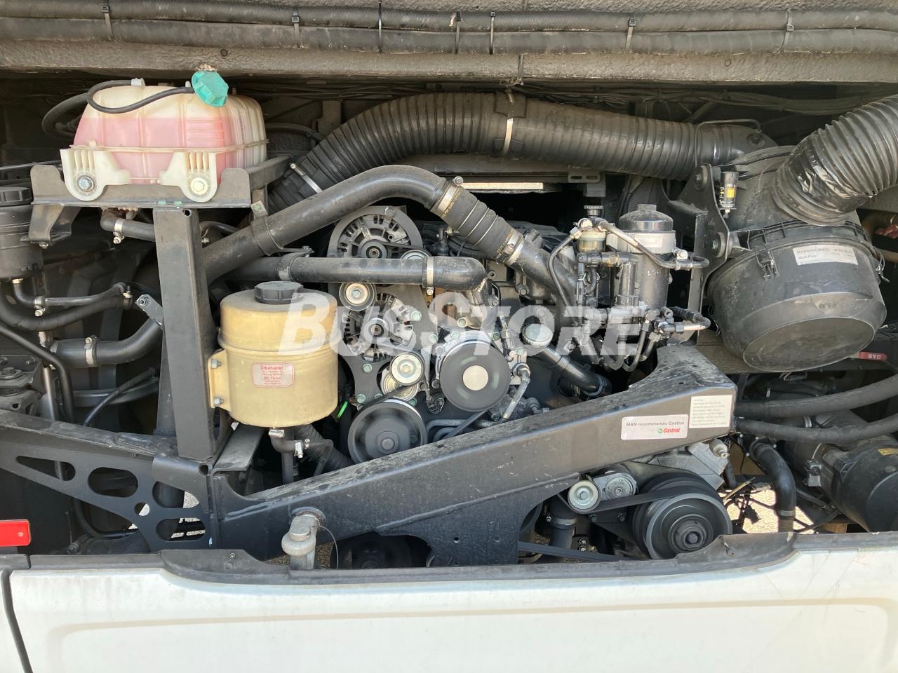 MAN - A66 Lion's City M - WIN2655712010